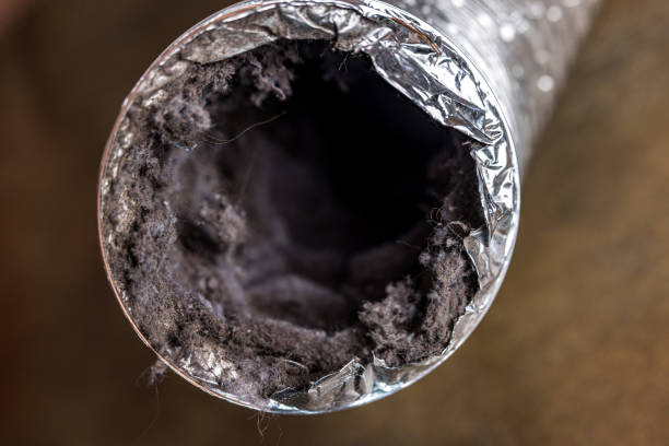 Best Affordable HVAC Duct Cleaning  in Haviland, NY